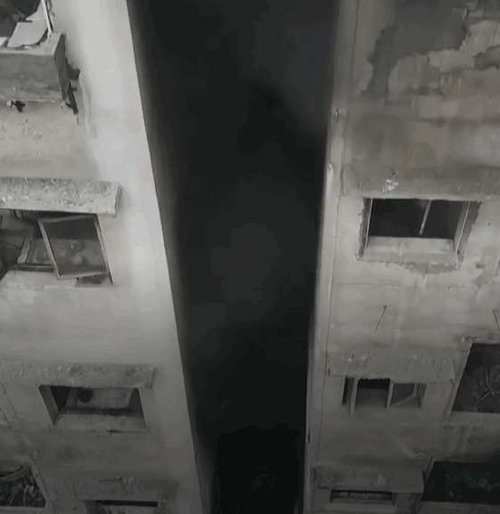 6.gif